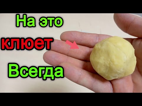 Видео: Лучшее тесто для рыбалки . Тесто на карася. Тесто которое ловит всю рыбу.