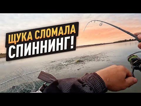 Видео: СПИННИНГ НЕ ВЫДЕРЖАЛ! ЩУЧЬЕ ПРОКЛЯТЬЕ ПРЕСЛЕДУЕТ МЕНЯ