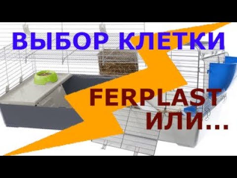 Видео: Клетка для морской свинки. Ferplast Rabbit 100 и Sky Little Zoo Roger  Обзор Клетки для грызунов