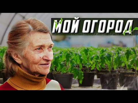 Видео: ЧТО ПОСАДИТ одинокая БАБУШКА в ОГОРОДЕ ?