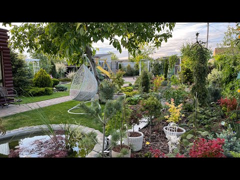 Видео: Стрижка растений и вечерняя прогулка по саду 🥰 на 6 сотках