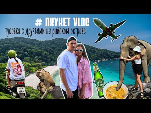 Видео: ПХУКЕТ VLOG: штраф за байк, крэйзи манки и тусовка с друзьями на райском острове