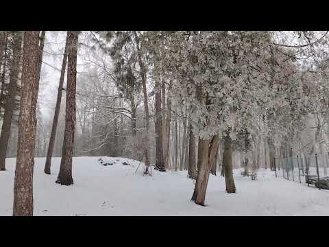 Видео: Как работа подменяет людям жизнь. Без работы жизнь становится пустой. Просыпаемся от работы...