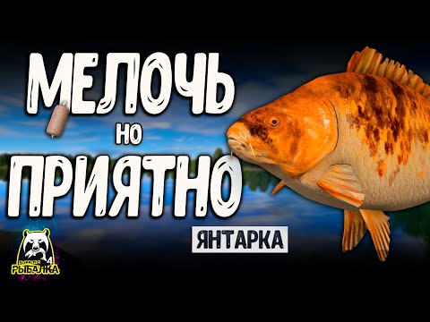 Видео: RF4 КЛЮЕТ ПРОСТЕНЬКО МЕЛКОЕ НО С ПОЛЬЗОЙ #рр4