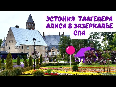 Видео: Замок Таагепера, Эстония. Парк Алиса в Зазеркалье и СПА