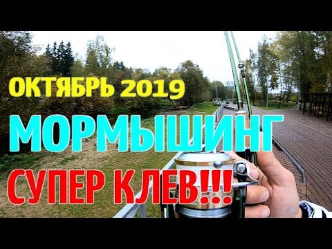 Видео: МОРМЫШИНГ РУЛИТ ОСЕННЯЯ РЫБАЛКА 2019!
