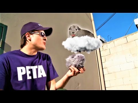 Видео: МОЯ НОВАЯ ЭМО ПРИЧЕСКА! | SMOSH |