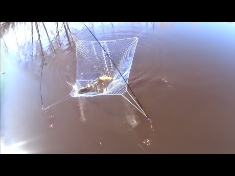 Видео: Самодельный мостик вновь меня не подвел... Рыбалка на подьёмник и хапуги