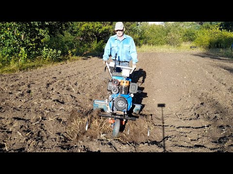 Видео: Мотоблок На Ротоваторах Працює Впевнено!