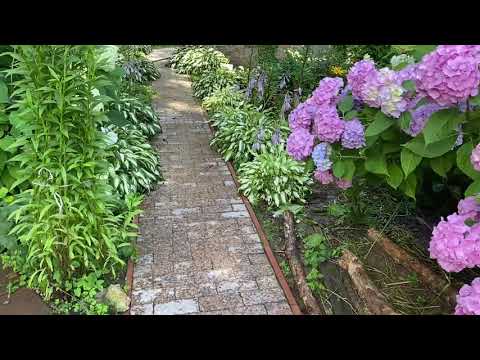 Видео: Мой любимый сад приносит мне хороший доход