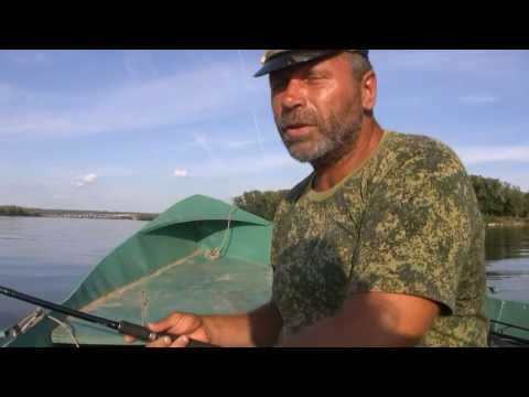 Видео: Саратов. Рыбалка. Ловля жереха