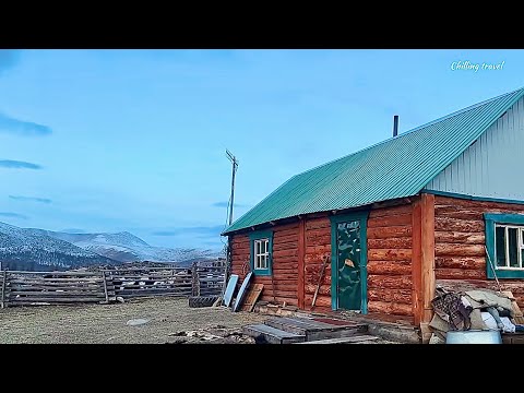 Видео: Улаан тайгын Дархад малчин айл | The red Taiga, Mongolian nomadic life ASMR (nature, real sounds)