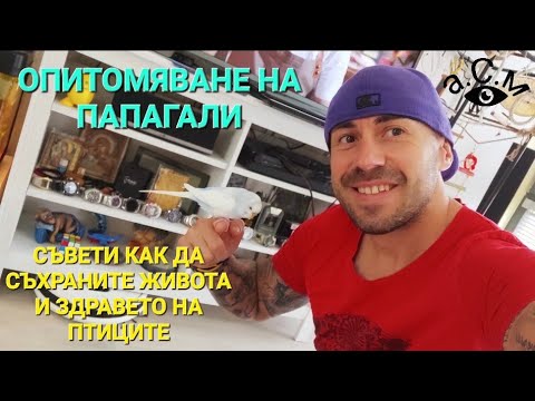 Видео: ОПИТОМЯВАНЕ НА ПАПАГАЛИ - СЪВЕТИ КАК ДА СЪХРАНИТЕ ЖИВОТА И ЗДРАВЕТО НА ПТИЦИТЕ а.С.м