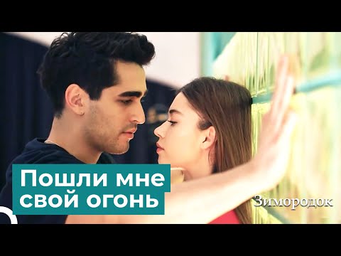 Видео: Если я поцелую тебя еще немного, Мед в губы | Зимородок