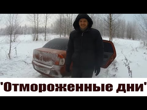 Видео: Полмашины индюков и "бройлерное" фиаско! "Отмороженные" деньки!