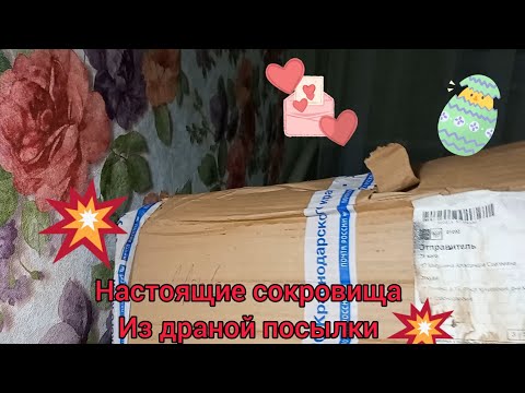 Видео: 💥Розы🙏😃🌹🌹🌹💥-из питомника "Александра", Обещала себе ни-ни🙏😁, но увидела сорта и сорвалась🤦‍♀️😂💕💥