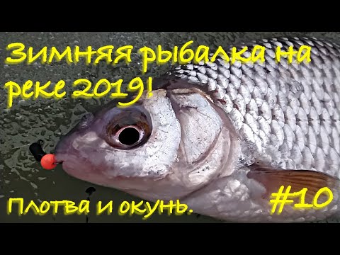 Видео: Зимняя рыбалка на мормышку 2019. Плотва и окунь на безмотылку по первому льду.