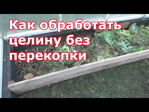 Видео: Как облегчить обработку целины и не тратить силы на перекопку. Способ проверенный временем.