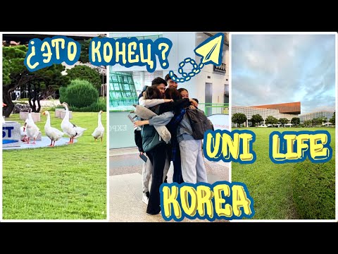 Видео: Дневник студентки: переехала в Корею одна. Первая неделя в университете KAIST