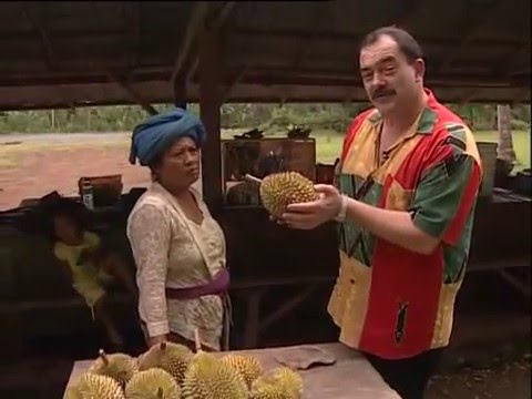 Видео: В поисках приключений   Бали 2