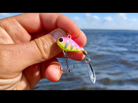 Видео: ЭТА ПРОВОДКА ПРОСТО КОСИТ РЫБУ. Они её точно не пропустят. Рыбалка на спиннинг