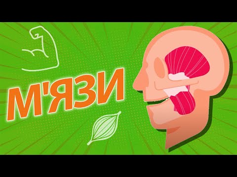 Видео: НАЙБІЛЬШИЙ М'ЯЗ | Największy mięsień