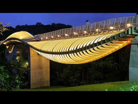 Видео: Белый мост