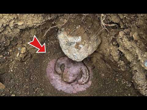 Видео: Сокровище, которое изменит историю❗️ Поиск сокровищ с металлоискателем Gold Vision