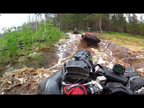 Видео: Путешествия на квадроциклах. Три медведя в тайге. Часть 2