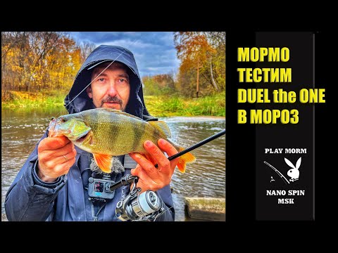 Видео: Мормышинг. Проверяем Duel the One в мороз.