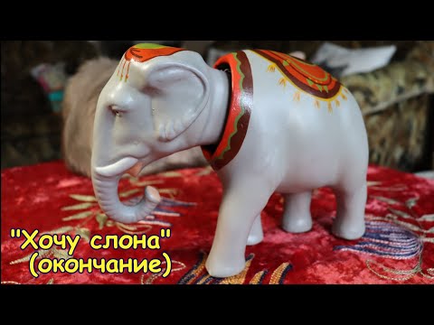 Видео: "Хочу слона" (окончание). Слон качает головой.