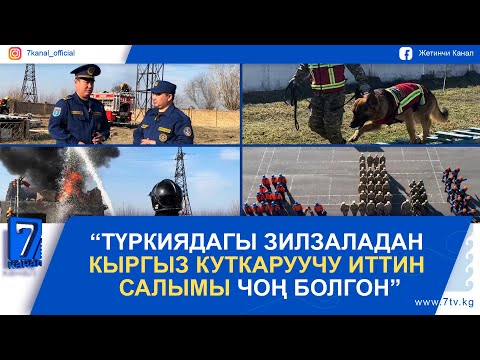 Видео: ӨКМдин ЖООКЕРЛЕРИНИН БИР КҮНДҮК ЖАШООСУ #МЕКЕН_ЖАНА_МЕН