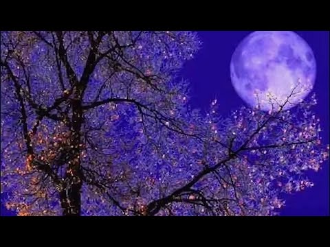 Видео: СИТУАЦИЯ НА РАБОТЕ💥💥💥