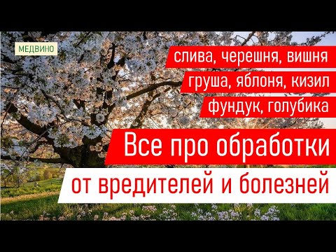 Видео: Секреты обработок слив, груши, яблони, черешни: 3-я и последующие обработки