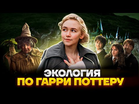 Видео: Экология по Гарри Поттеру | Биология ОГЭ 2023 | Умскул