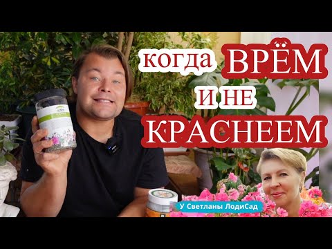 Видео: НАССЫ В ГЛАЗА, ВСЁ БОЖЬЯ РОСА или как блогер Светлана делает из людей дураков!