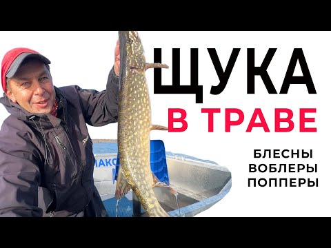 Видео: Ловля щуки в траве. Лучшие воблеры и блесны для рыбалки на щуку!