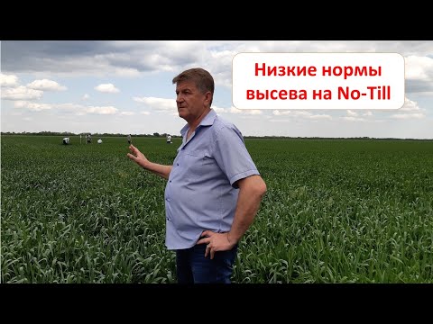 Видео: Низкие нормы высева в No-Till - есть ли предел?!