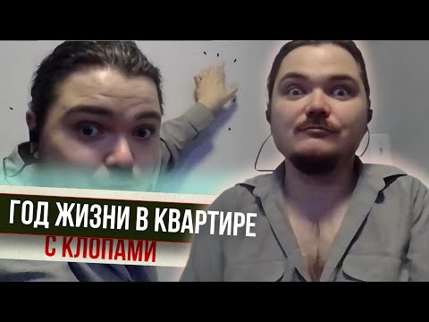 Видео: Маргинал про год жизни в квартире с клопами