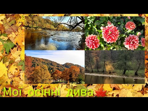 Видео: Наше.💙💛 Не парфумерне.🍂Запрошую до осіннього релаксу.🍁