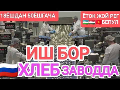 Видео: ❗Иш бор "ХЛЕБ ЗАВОД"🔥18ёшдан 50ёшгача еркак аёл керак #иш_бор #работа #жумуш 