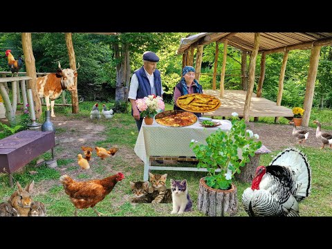 Видео: Жизнь в Деревне. Жареный Кабачок. Два Блюда из Одного Кабачка.