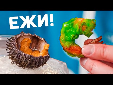 Видео: ЖИВЫЕ устрицы и ЕЖИ! Сырой Бар! Славный Обзор.