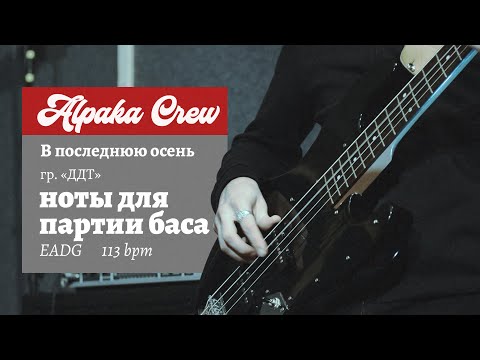 Видео: ДДТ - В последнюю осень (Партия баса и ноты)