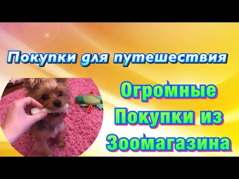 Видео: Огромные покупки из зоомагазина//Летим с собакой в Италию?