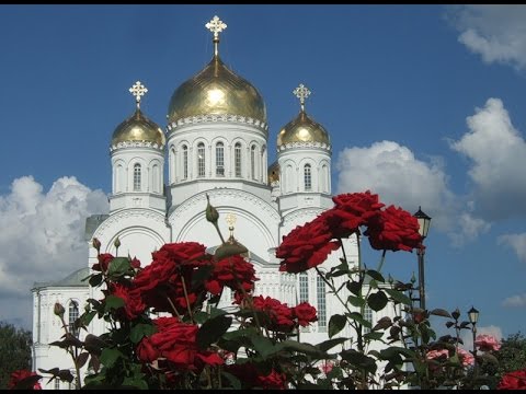 Видео: Как добраться до Дивеево?!