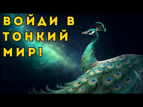 Видео: ТОНКИЙ МИР: Реальность НЕВИДИМЫХ планов, которые управляют твоей жизнью