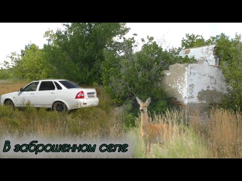 Видео: Жуткий хрип.Большое заброшенное село Октябрьское