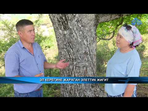 Видео: Элет турумушу :  Эл керегине жараган элеттик жигит