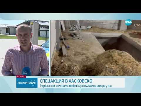 Видео: Нелегална фабрика за цигари под кравеферма-Новините на NOVA